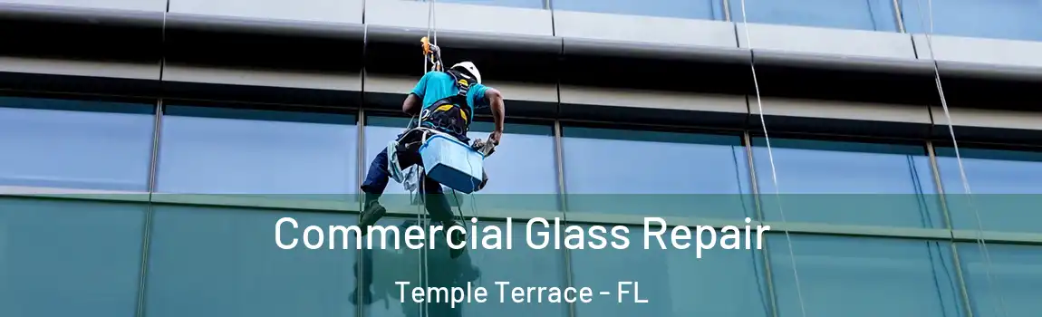 Commercial Glass Repair Temple Terrace - FL