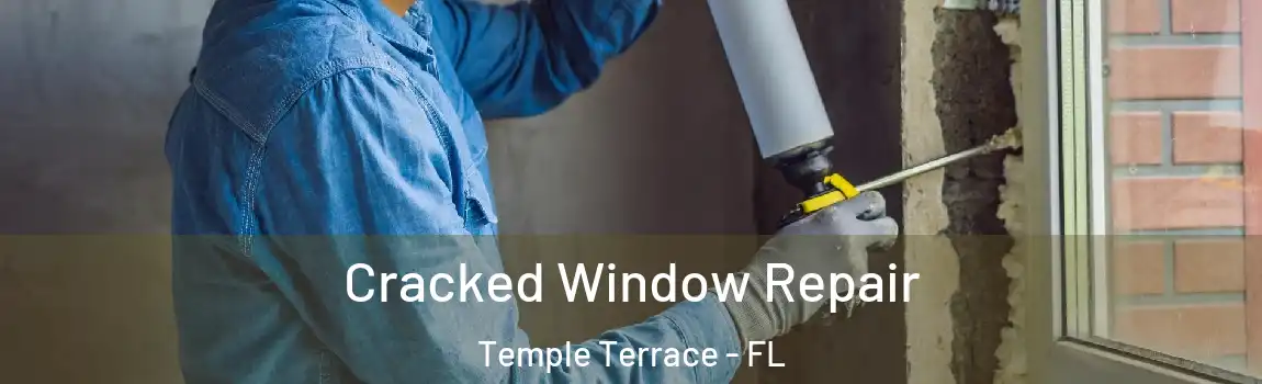 Cracked Window Repair Temple Terrace - FL