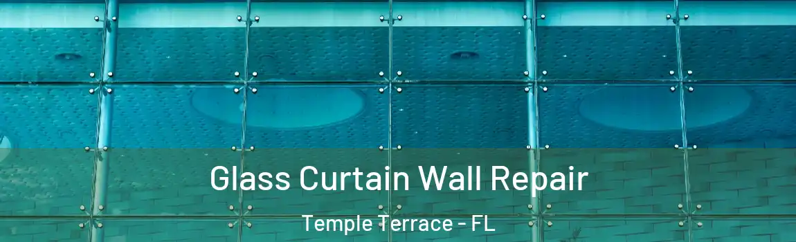  Glass Curtain Wall Repair Temple Terrace - FL
