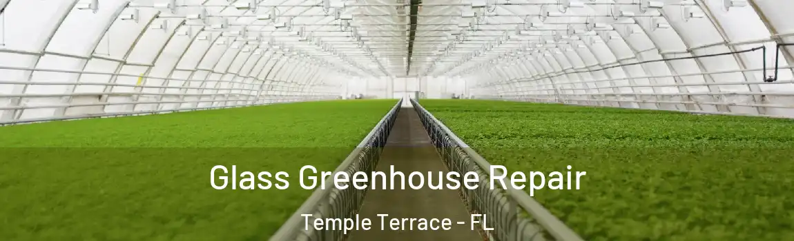  Glass Greenhouse Repair Temple Terrace - FL