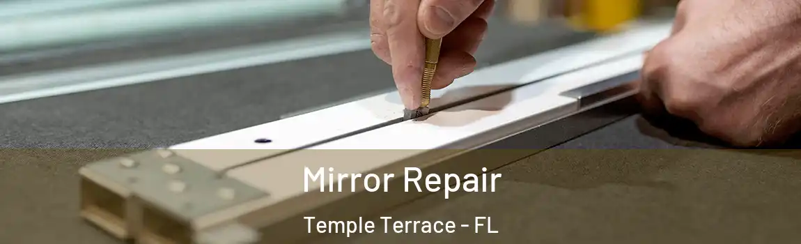 Mirror Repair Temple Terrace - FL