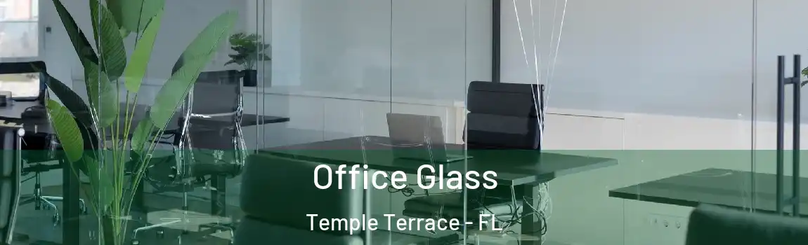  Office Glass Temple Terrace - FL