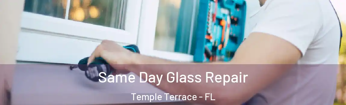  Same Day Glass Repair Temple Terrace - FL