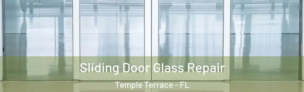  Sliding Door Glass Repair Temple Terrace - FL