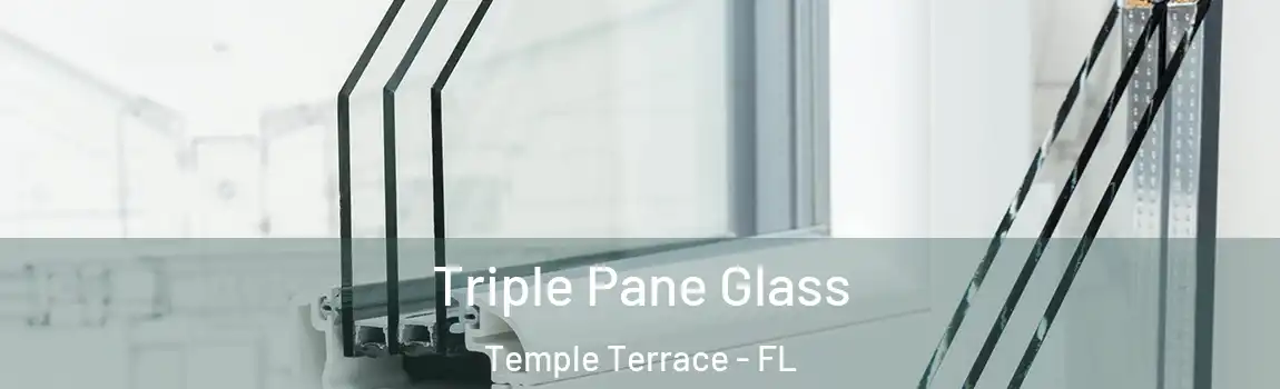 Triple Pane Glass Temple Terrace - FL