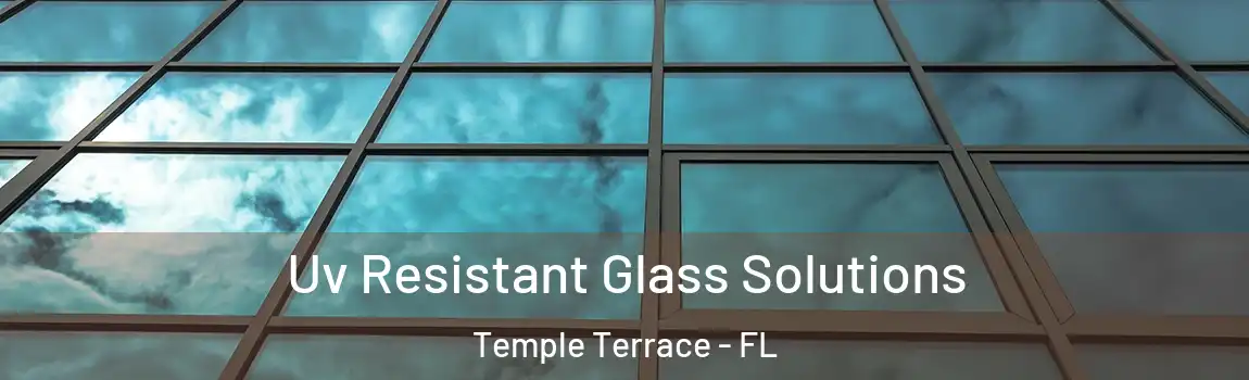 Uv Resistant Glass Solutions Temple Terrace - FL