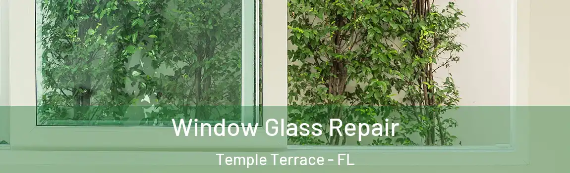 Window Glass Repair Temple Terrace - FL