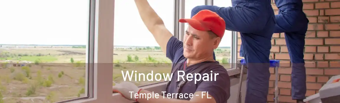 Window Repair Temple Terrace - FL