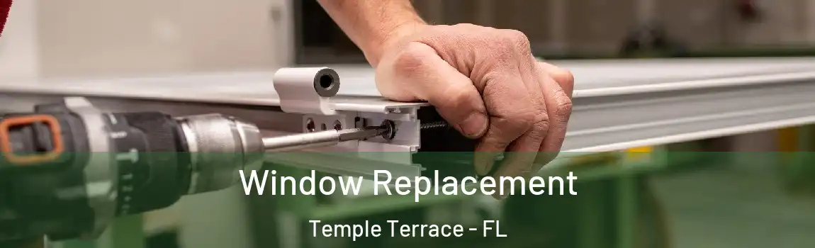 Window Replacement Temple Terrace - FL