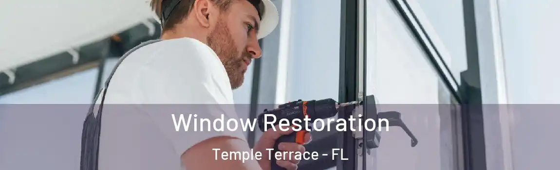 Window Restoration Temple Terrace - FL