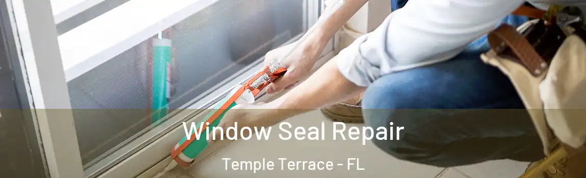 Window Seal Repair Temple Terrace - FL